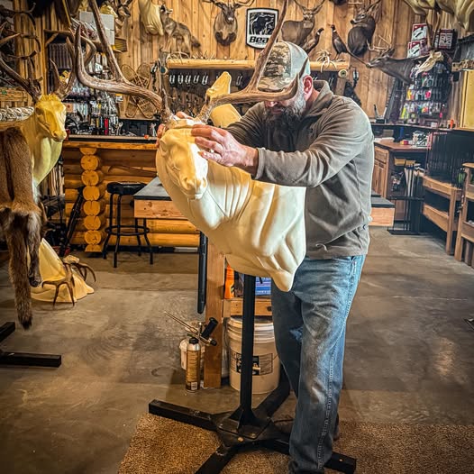 AfterLife Taxidermist at work